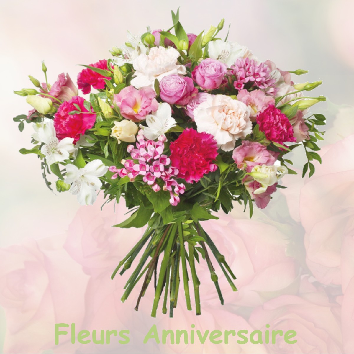 fleurs anniversaire VILLENEUVE-LA-COMPTAL